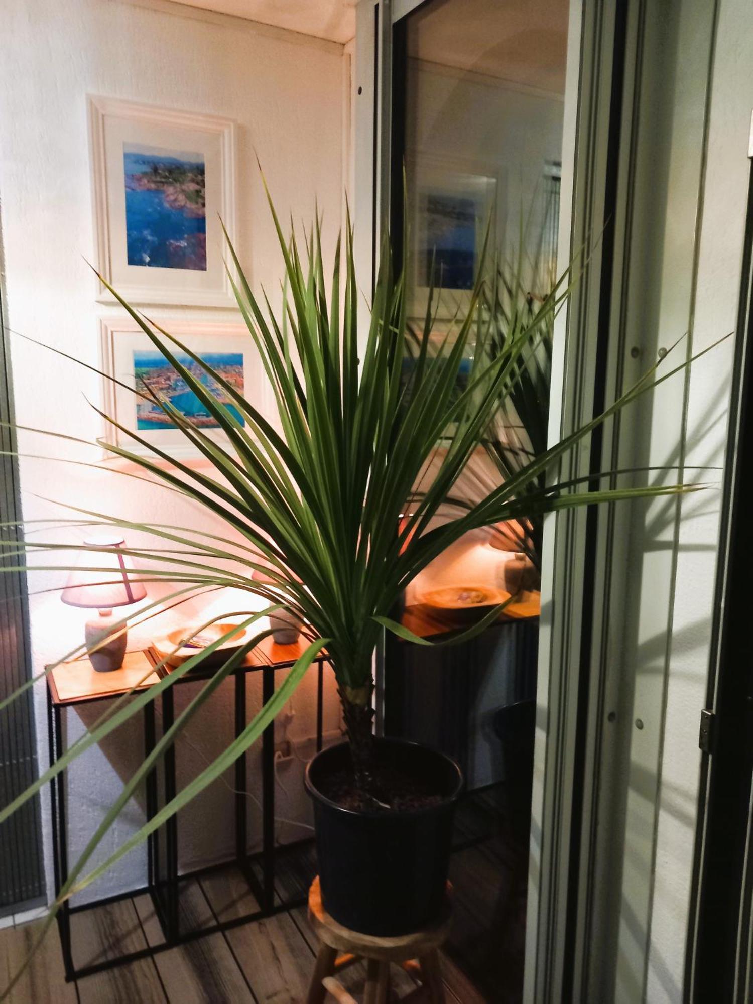 Appartement Soleil De Au Lagonbleu Fréjus
